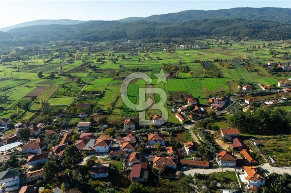 CB MARİNA'DAN YENİCE'DE YOLA CEPHELİ TARIMA UYGUN SATILIK TARLA