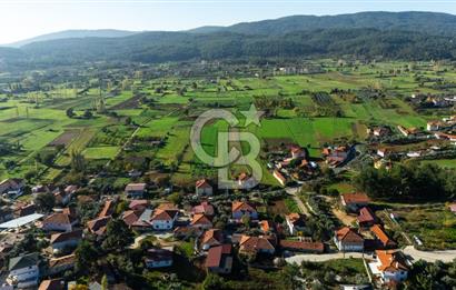 CB MARİNA'DAN YENİCE'DE YOLA CEPHELİ TARIMA UYGUN SATILIK TARLA