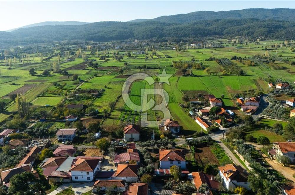 CB MARİNA'DAN YENİCE'DE YOLA CEPHELİ TARIMA UYGUN SATILIK TARLA