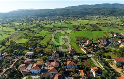 CB MARİNA'DAN YENİCE'DE YOLA CEPHELİ TARIMA UYGUN SATILIK TARLA