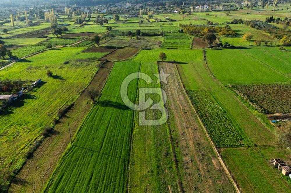 CB MARİNA'DAN YENİCE'DE YOLA CEPHELİ TARIMA UYGUN SATILIK TARLA