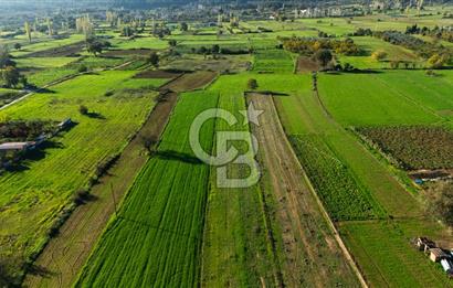 CB MARİNA'DAN YENİCE'DE YOLA CEPHELİ TARIMA UYGUN SATILIK TARLA