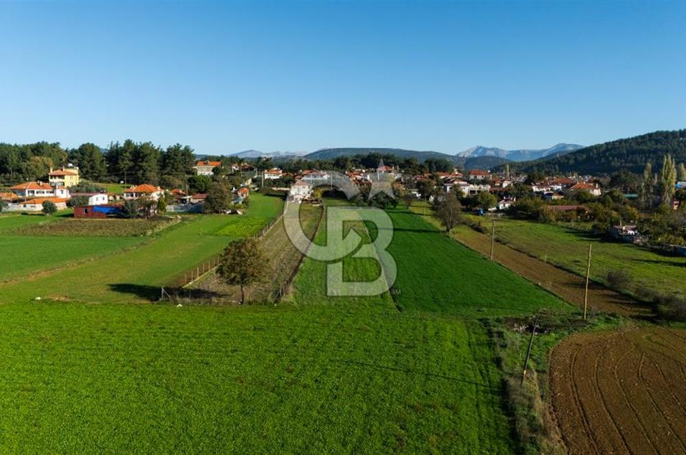 CB MARİNA'DAN YENİCE'DE YOLA CEPHELİ TARIMA UYGUN SATILIK TARLA