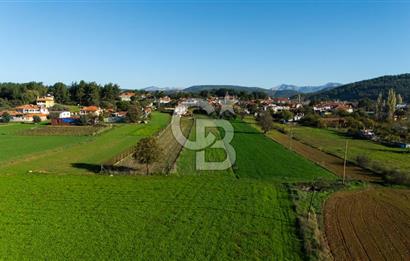 CB MARİNA'DAN YENİCE'DE YOLA CEPHELİ TARIMA UYGUN SATILIK TARLA