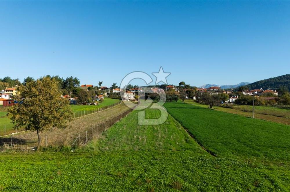 CB MARİNA'DAN YENİCE'DE YOLA CEPHELİ TARIMA UYGUN SATILIK TARLA