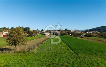 CB MARİNA'DAN YENİCE'DE YOLA CEPHELİ TARIMA UYGUN SATILIK TARLA