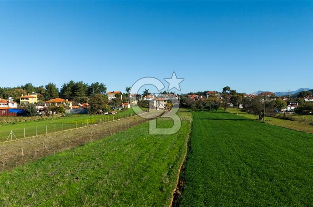 CB MARİNA'DAN YENİCE'DE YOLA CEPHELİ TARIMA UYGUN SATILIK TARLA
