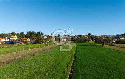 CB MARİNA'DAN YENİCE'DE YOLA CEPHELİ TARIMA UYGUN SATILIK TARLA