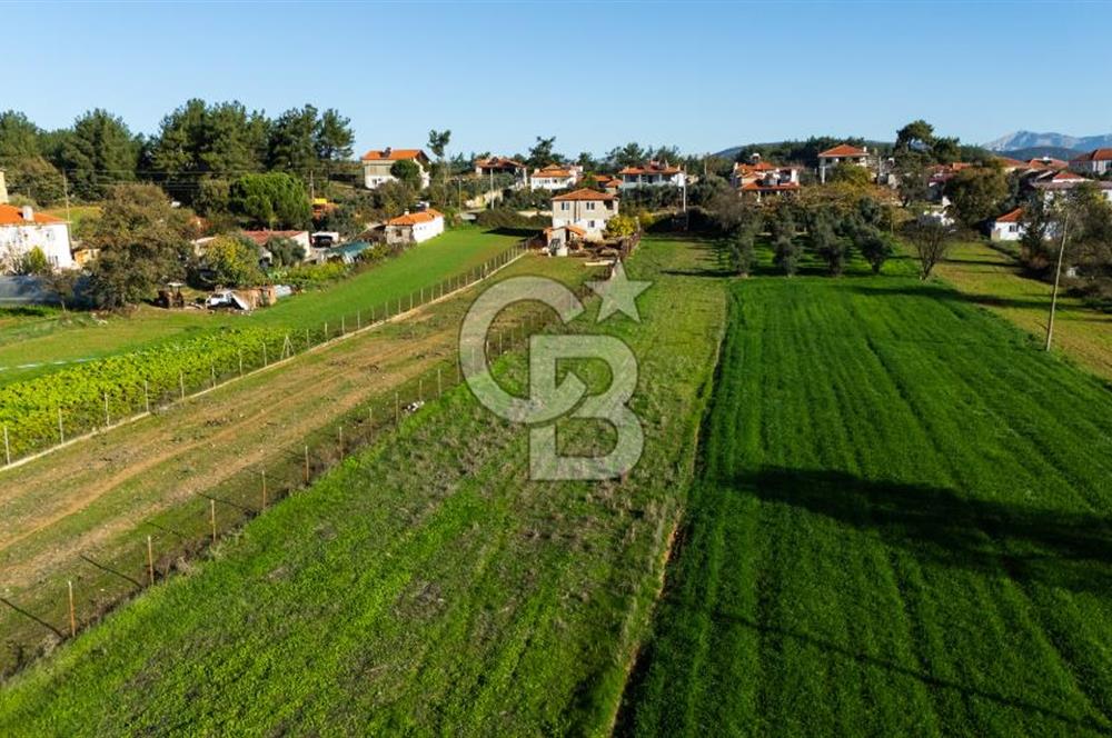 CB MARİNA'DAN YENİCE'DE YOLA CEPHELİ TARIMA UYGUN SATILIK TARLA