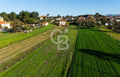 CB MARİNA'DAN YENİCE'DE YOLA CEPHELİ TARIMA UYGUN SATILIK TARLA