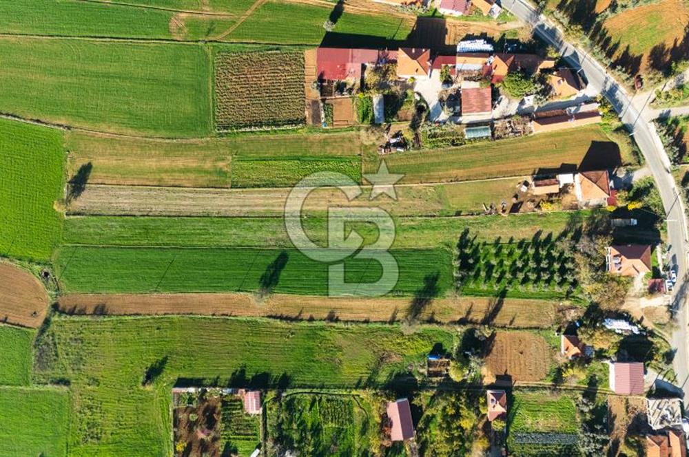 CB MARİNA'DAN YENİCE'DE YOLA CEPHELİ TARIMA UYGUN SATILIK TARLA