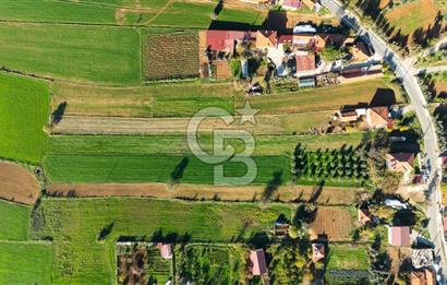 CB MARİNA'DAN YENİCE'DE YOLA CEPHELİ TARIMA UYGUN SATILIK TARLA