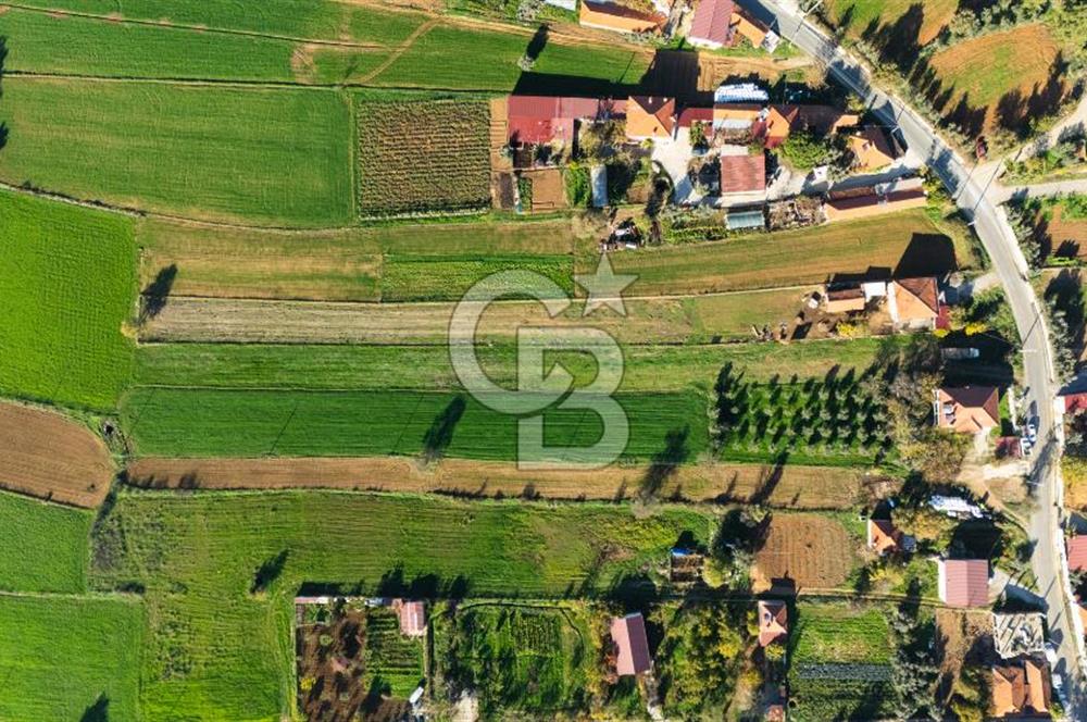 CB MARİNA'DAN YENİCE'DE YOLA CEPHELİ TARIMA UYGUN SATILIK TARLA
