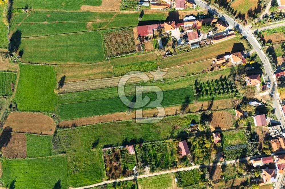 CB MARİNA'DAN YENİCE'DE YOLA CEPHELİ TARIMA UYGUN SATILIK TARLA