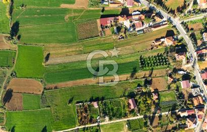 CB MARİNA'DAN YENİCE'DE YOLA CEPHELİ TARIMA UYGUN SATILIK TARLA