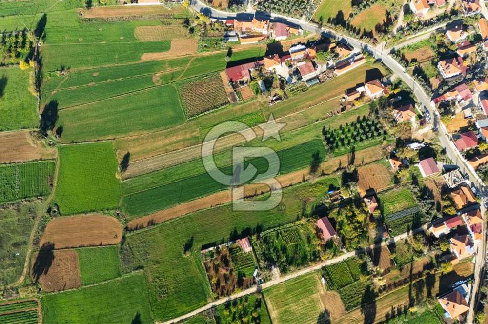CB MARİNA'DAN YENİCE'DE YOLA CEPHELİ TARIMA UYGUN SATILIK TARLA