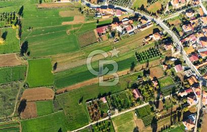 CB MARİNA'DAN YENİCE'DE YOLA CEPHELİ TARIMA UYGUN SATILIK TARLA