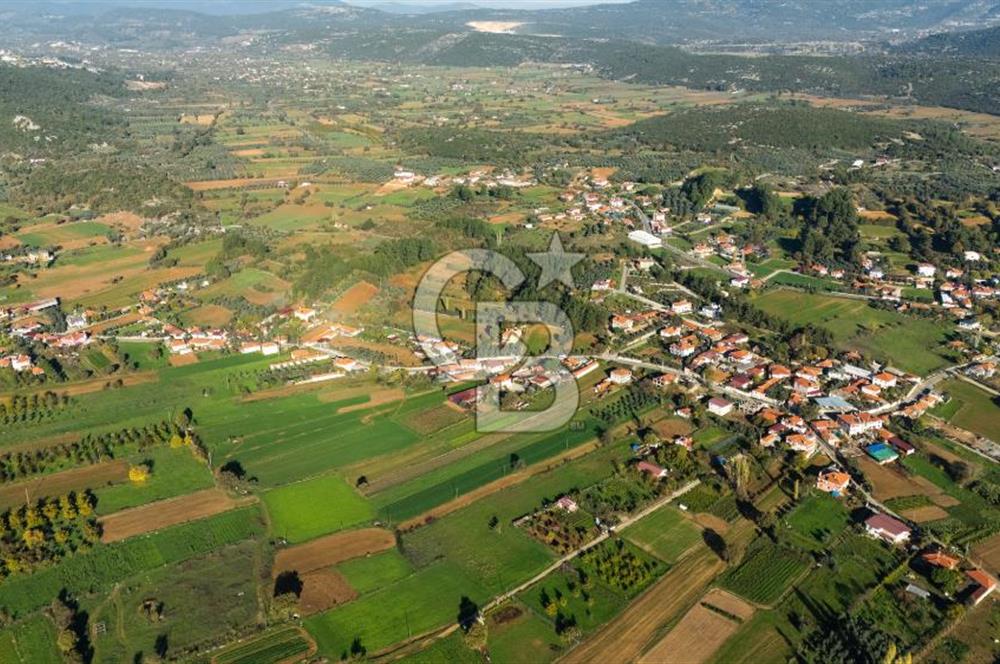 CB MARİNA'DAN YENİCE'DE YOLA CEPHELİ TARIMA UYGUN SATILIK TARLA