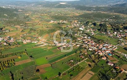 CB MARİNA'DAN YENİCE'DE YOLA CEPHELİ TARIMA UYGUN SATILIK TARLA