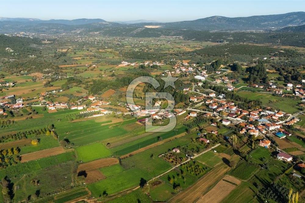 CB MARİNA'DAN YENİCE'DE YOLA CEPHELİ TARIMA UYGUN SATILIK TARLA