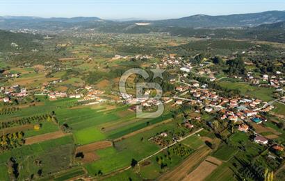 CB MARİNA'DAN YENİCE'DE YOLA CEPHELİ TARIMA UYGUN SATILIK TARLA