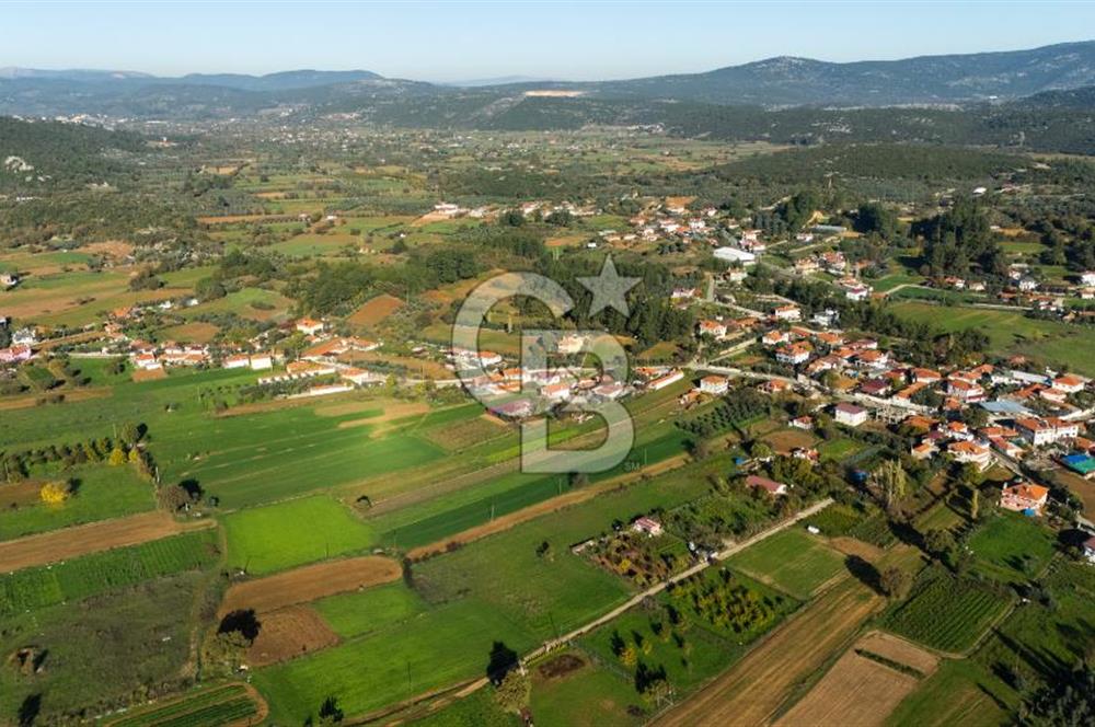 CB MARİNA'DAN YENİCE'DE YOLA CEPHELİ TARIMA UYGUN SATILIK TARLA