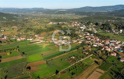 CB MARİNA'DAN YENİCE'DE YOLA CEPHELİ TARIMA UYGUN SATILIK TARLA