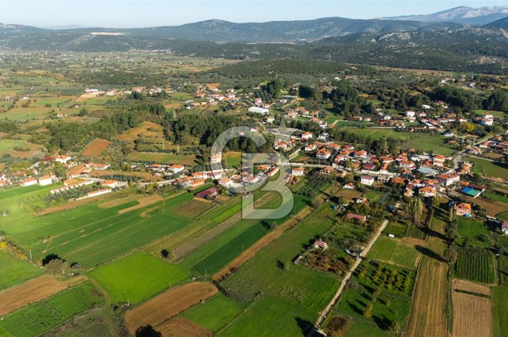 CB MARİNA'DAN YENİCE'DE YOLA CEPHELİ TARIMA UYGUN SATILIK TARLA