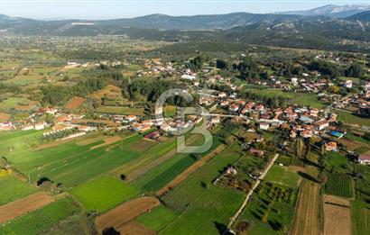 CB MARİNA'DAN YENİCE'DE YOLA CEPHELİ TARIMA UYGUN SATILIK TARLA