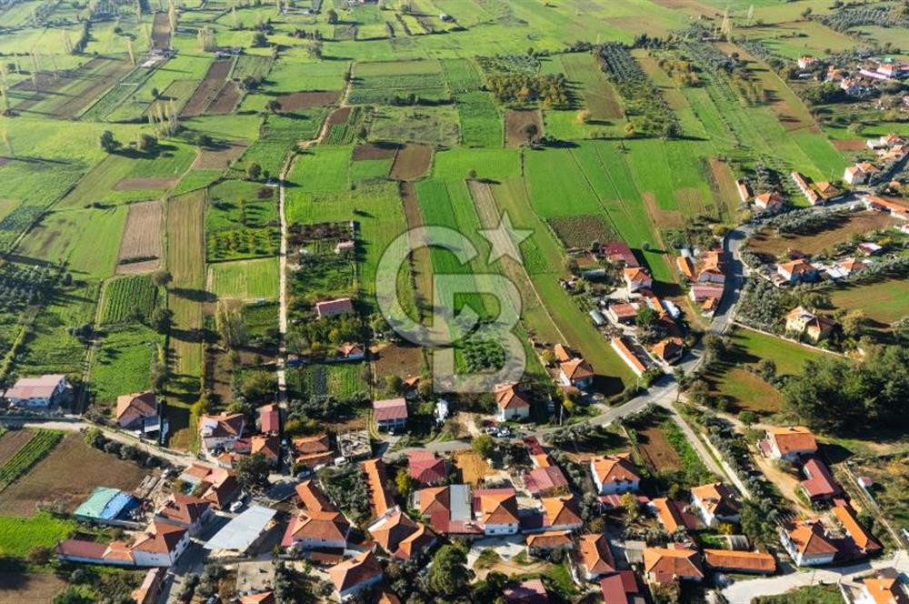 CB MARİNA'DAN YENİCE'DE YOLA CEPHELİ TARIMA UYGUN SATILIK TARLA