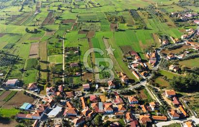 CB MARİNA'DAN YENİCE'DE YOLA CEPHELİ TARIMA UYGUN SATILIK TARLA