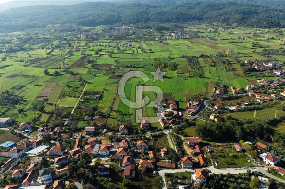 CB MARİNA'DAN YENİCE'DE YOLA CEPHELİ TARIMA UYGUN SATILIK TARLA