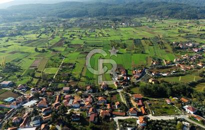 CB MARİNA'DAN YENİCE'DE YOLA CEPHELİ TARIMA UYGUN SATILIK TARLA