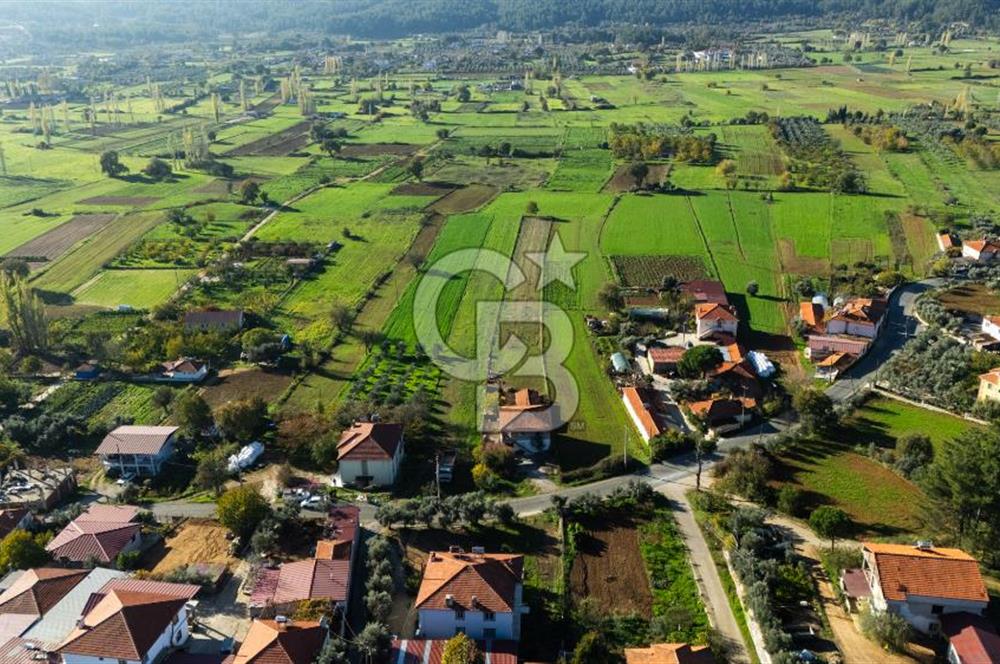 CB MARİNA'DAN YENİCE'DE YOLA CEPHELİ TARIMA UYGUN SATILIK TARLA