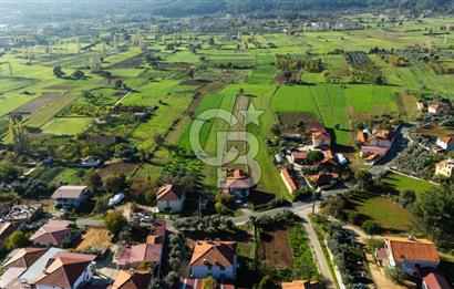 CB MARİNA'DAN YENİCE'DE YOLA CEPHELİ TARIMA UYGUN SATILIK TARLA