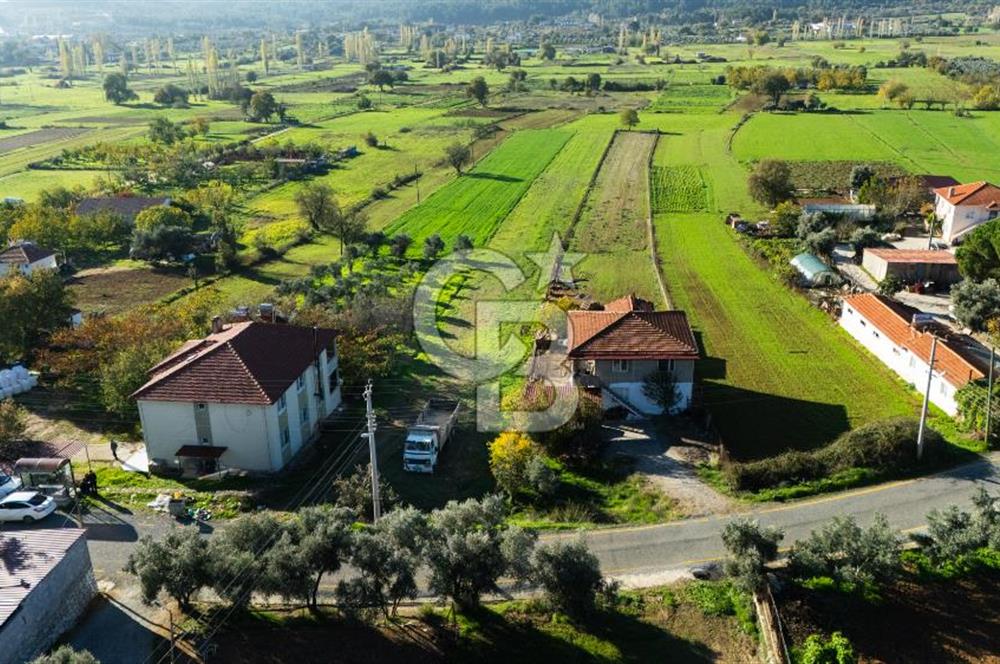 CB MARİNA'DAN YENİCE'DE YOLA CEPHELİ TARIMA UYGUN SATILIK TARLA