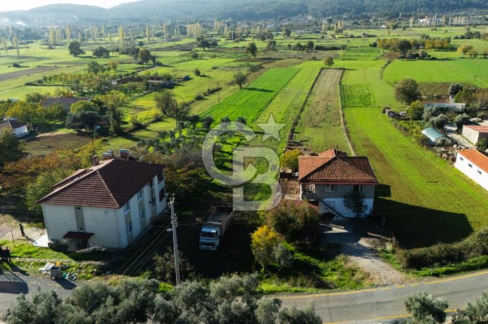 CB MARİNA'DAN YENİCE'DE YOLA CEPHELİ TARIMA UYGUN SATILIK TARLA