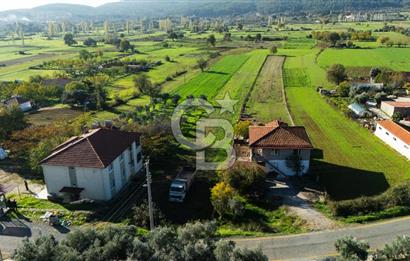 CB MARİNA'DAN YENİCE'DE YOLA CEPHELİ TARIMA UYGUN SATILIK TARLA