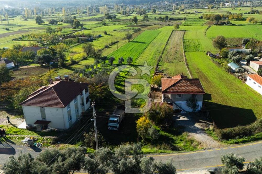 CB MARİNA'DAN YENİCE'DE YOLA CEPHELİ TARIMA UYGUN SATILIK TARLA