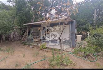 Kemalpaşada Armutlu Çarsiklida Tek Tapu 582m2 Bahçe ve Ev - 3 - 290790