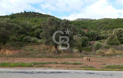 Seferihisar Kavakdere de Anayola Cepheli Arsa