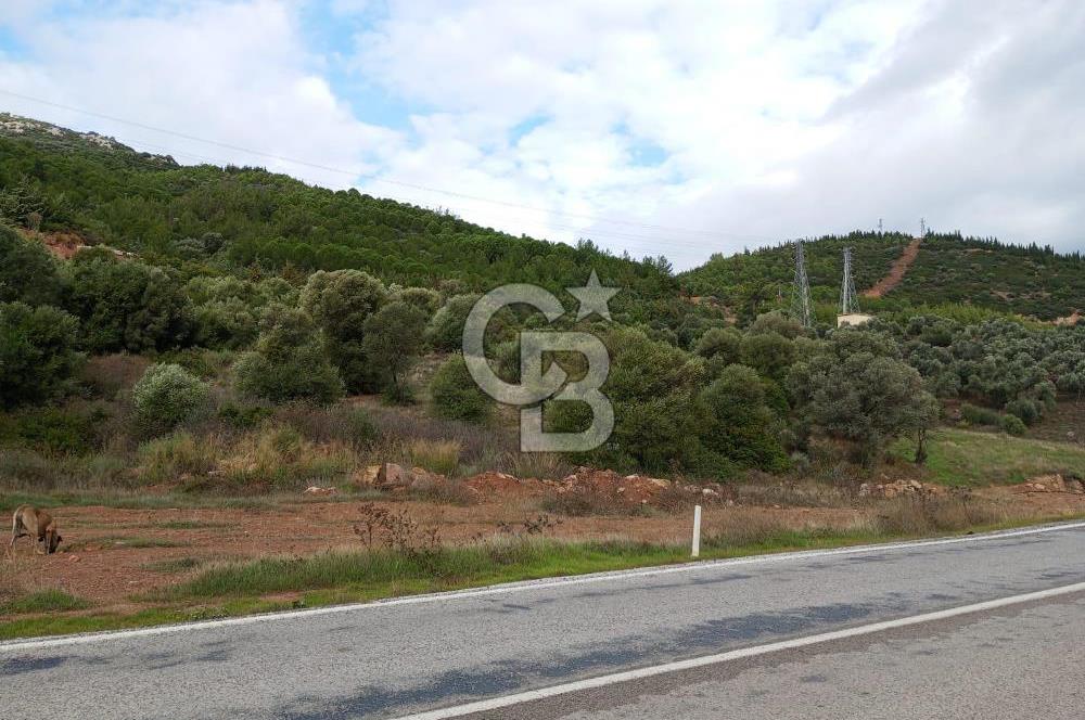 Seferihisar Kavakdere de Anayola Cepheli Arsa