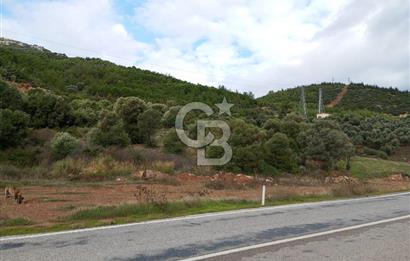 Seferihisar Kavakdere de Anayola Cepheli Arsa