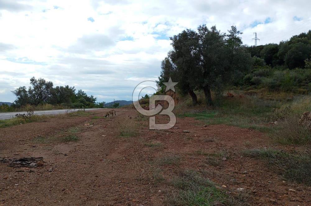 Seferihisar Kavakdere de Anayola Cepheli Arsa