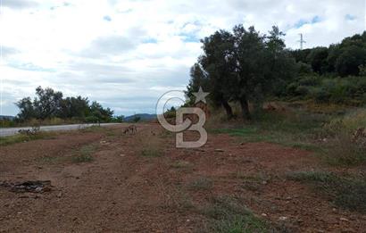 Seferihisar Kavakdere de Anayola Cepheli Arsa