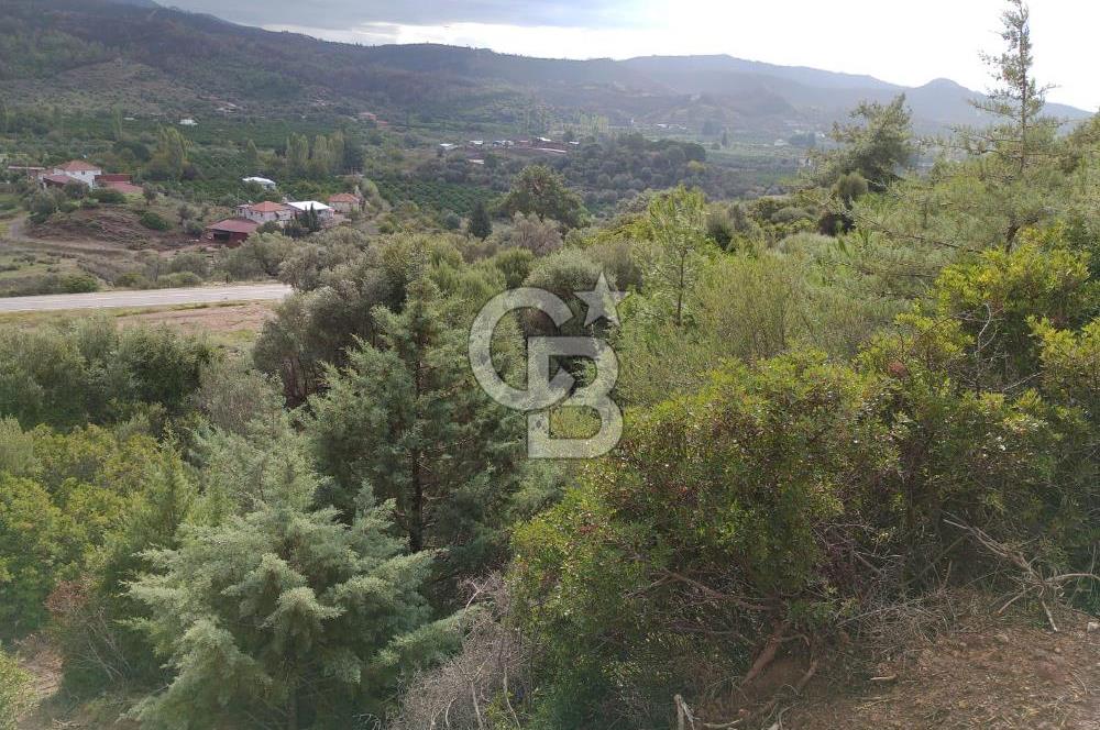 Seferihisar Kavakdere de Anayola Cepheli Arsa