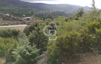 Seferihisar Kavakdere de Anayola Cepheli Arsa