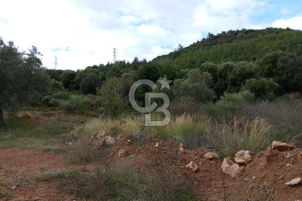 Seferihisar Kavakdere de Anayola Cepheli Arsa