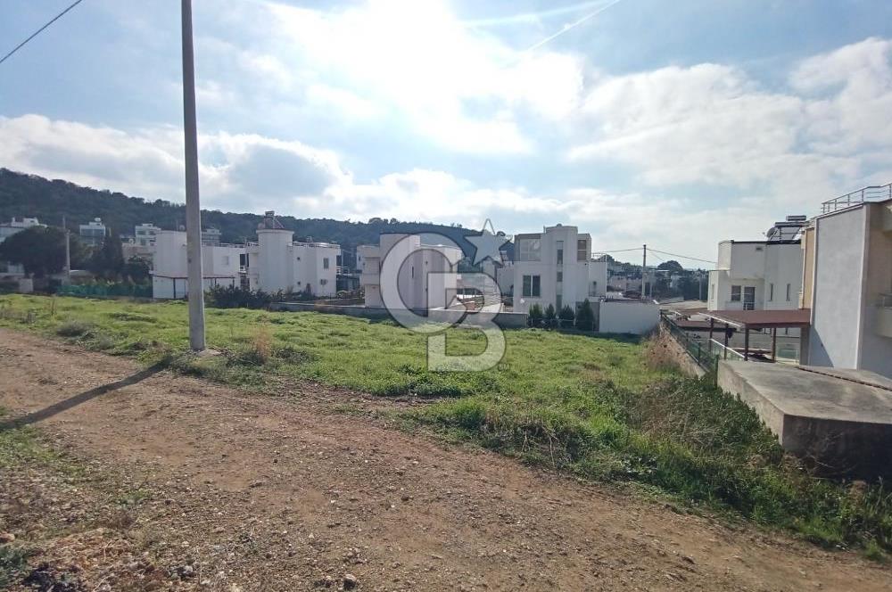 ÇANAKKALE KANGIRLI'DA DENİZE 100 M MESAFE DE SATILIK ARAZİ