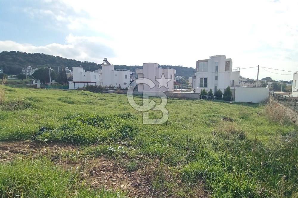 ÇANAKKALE KANGIRLI'DA DENİZE 100 M MESAFE DE SATILIK ARAZİ